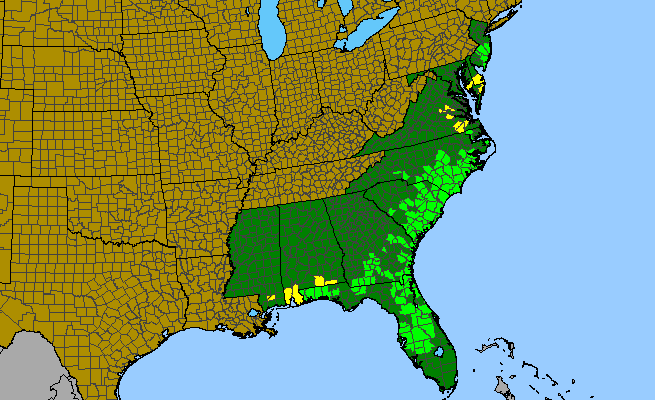 The range of Sabatia difformis